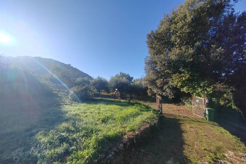 Villa a Maenza, Latina, Maenza - € 89.000 | Ref: 2134 - foto 6