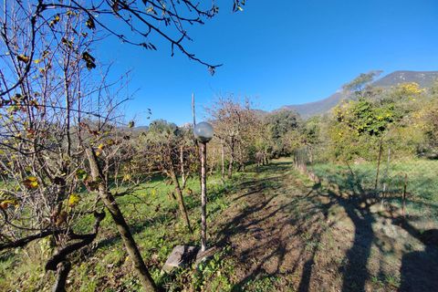 Villa a Maenza, Latina, Maenza - € 89.000 | Ref: 2134 - foto 37