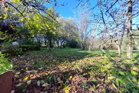 Villa a Maenza, Latina, Maenza - € 89.000 | Ref: 2134 - foto 15
