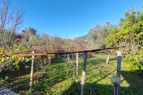 Villa a Maenza, Latina, Maenza - € 89.000 | Ref: 2134 - foto 19