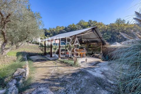 Villa a Contes, Alpes-Maritimes, Contes - € 585.000 | Ref: 86335588 - foto 21