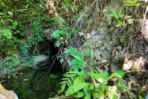 Villa i Covilha, Castelo Branco, Covilha - € 150.000 | Ref: C0473-00285 - foto 6