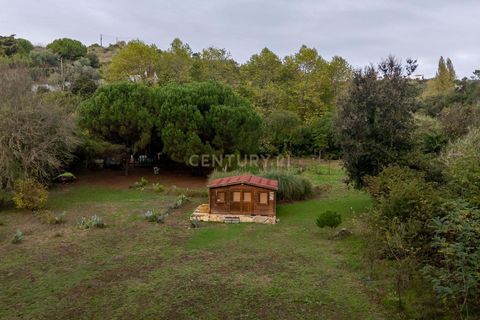 Villa i Mafra, Lisbon, Mafra - € 1.150.000 | Ref: C0484-00413 - foto 49
