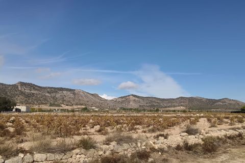 Helårsgrund i Salinas, Alicante, Salinas - € 53.000 | Ref: 67013-SS - foto 1