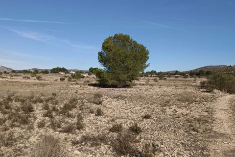 Helårsgrund i Salinas, Alicante, Salinas - € 54.999 | Ref: 67011-SS - foto 1