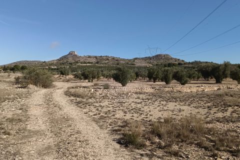 Helårsgrund i Salinas, Alicante, Salinas - € 54.999 | Ref: 67011-SS - foto 2