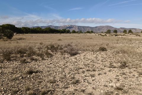 Helårsgrund i Salinas, Alicante, Salinas - € 54.999 | Ref: 67011-SS - foto 4