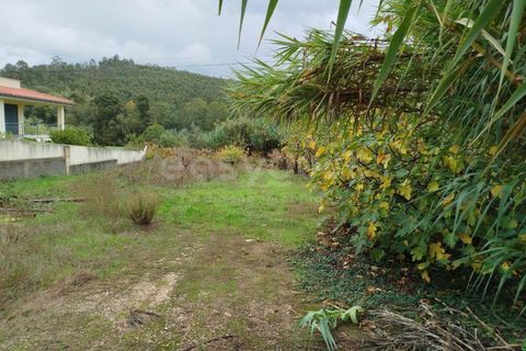 Helårsgrund i Miranda do Corvo, Coimbra, Miranda do Corvo - € 32.000 | Ref: RR98279 - foto 3