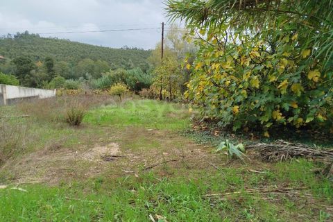 Helårsgrund i Miranda do Corvo, Coimbra, Miranda do Corvo - € 32.000 | Ref: RR98279 - foto 4