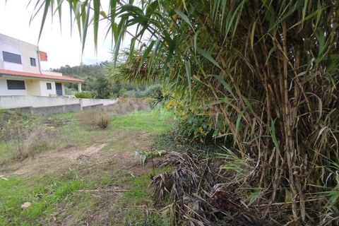 Helårsgrund i Miranda do Corvo, Coimbra, Miranda do Corvo - € 32.000 | Ref: RR98279 - foto 5