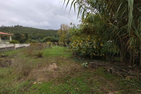 Helårsgrund i Miranda do Corvo, Coimbra, Miranda do Corvo - € 32.000 | Ref: RR98279 - foto 8