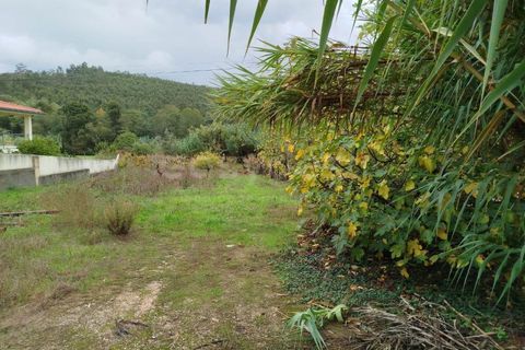 Helårsgrund i Miranda do Corvo, Coimbra, Miranda do Corvo - € 32.000 | Ref: RR98279 - foto 9