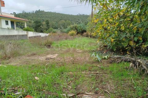 Helårsgrund i Miranda do Corvo, Coimbra, Miranda do Corvo - € 32.000 | Ref: RR98279 - foto 13