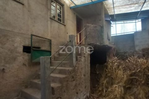 Villa i Trezoi, Viseu, Trezoi - € 35.000 | Ref: ZMPT579475 - foto 9