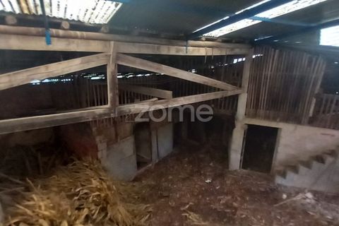 Villa i Trezoi, Viseu, Trezoi - € 35.000 | Ref: ZMPT579475 - foto 23
