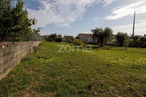 Helårsgrund i Cantanhede, Coimbra, Cantanhede - € 32.500 | Ref: ZMPT581834 - foto 2