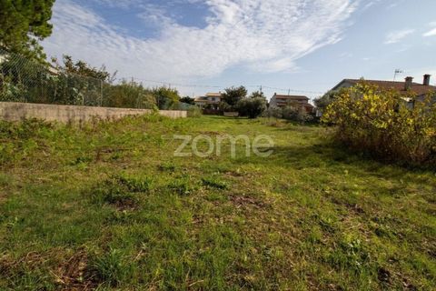 Helårsgrund i Cantanhede, Coimbra, Cantanhede - € 32.500 | Ref: ZMPT581834 - foto 3