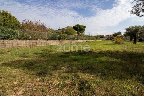 Helårsgrund i Cantanhede, Coimbra, Cantanhede - € 32.500 | Ref: ZMPT581834 - foto 4