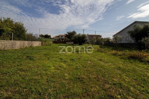 Helårsgrund i Cantanhede, Coimbra, Cantanhede - € 32.500 | Ref: ZMPT581834 - foto 5