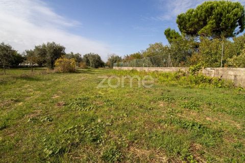 Helårsgrund i Cantanhede, Coimbra, Cantanhede - € 32.500 | Ref: ZMPT581834 - foto 6