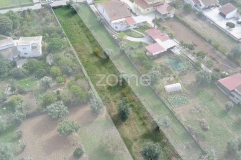 Helårsgrund i Cantanhede, Coimbra, Cantanhede - € 32.500 | Ref: ZMPT581834 - foto 7
