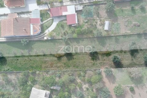 Helårsgrund i Cantanhede, Coimbra, Cantanhede - € 32.500 | Ref: ZMPT581834 - foto 8
