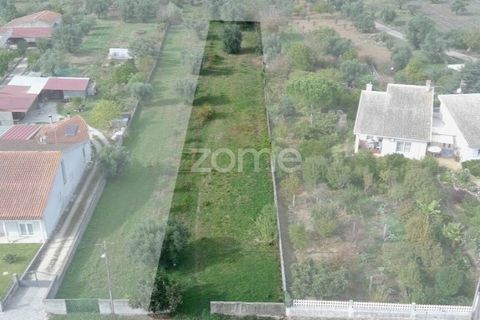 Helårsgrund i Cantanhede, Coimbra, Cantanhede - € 32.500 | Ref: ZMPT581834 - foto 9