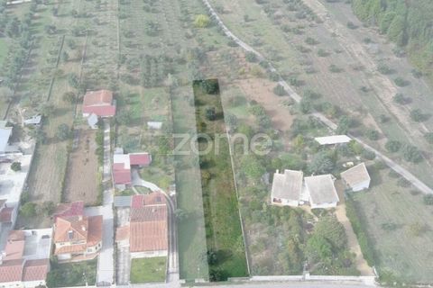 Helårsgrund i Cantanhede, Coimbra, Cantanhede - € 32.500 | Ref: ZMPT581834 - foto 10