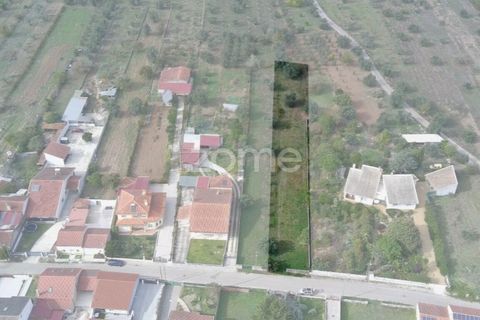 Helårsgrund i Cantanhede, Coimbra, Cantanhede - € 32.500 | Ref: ZMPT581834 - foto 11