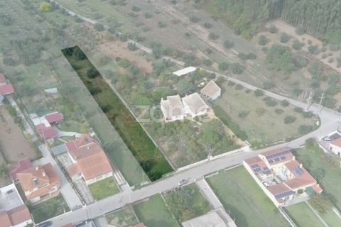 Helårsgrund i Cantanhede, Coimbra, Cantanhede - € 32.500 | Ref: ZMPT581834 - foto 13