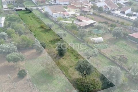 Helårsgrund i Cantanhede, Coimbra, Cantanhede - € 32.500 | Ref: ZMPT581834 - foto 14