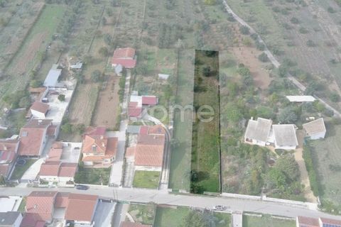 Helårsgrund i Cantanhede, Coimbra, Cantanhede - € 32.500 | Ref: ZMPT581834 - foto 15