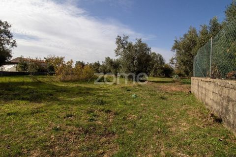 Helårsgrund i Cantanhede, Coimbra, Cantanhede - € 32.500 | Ref: ZMPT581834 - foto 16