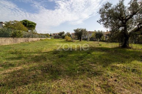 Helårsgrund i Cantanhede, Coimbra, Cantanhede - € 32.500 | Ref: ZMPT581834 - foto 17