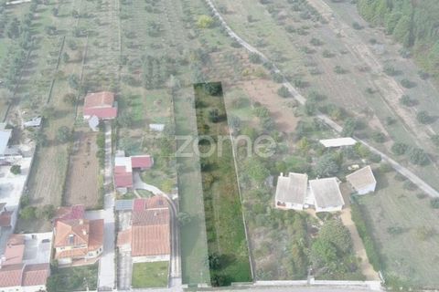 Helårsgrund i Cantanhede, Coimbra, Cantanhede - € 32.500 | Ref: ZMPT581834 - foto 18