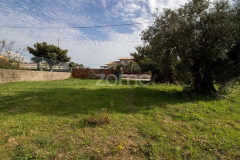 Helårsgrund i Cantanhede, Coimbra, Cantanhede - € 32.500 | Ref: ZMPT581834 - foto 19
