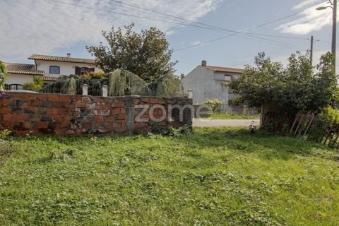 Helårsgrund i Cantanhede, Coimbra, Cantanhede - € 32.500 | Ref: ZMPT581834 - foto 20