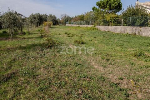 Helårsgrund i Cantanhede, Coimbra, Cantanhede - € 32.500 | Ref: ZMPT581834 - foto 21