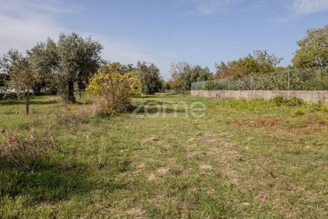 Helårsgrund i Cantanhede, Coimbra, Cantanhede - € 32.500 | Ref: ZMPT581834 - foto 22