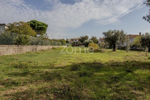 Helårsgrund i Cantanhede, Coimbra, Cantanhede - € 32.500 | Ref: ZMPT581834 - foto 23