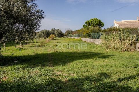 Helårsgrund i Cantanhede, Coimbra, Cantanhede - € 32.500 | Ref: ZMPT581834 - foto 24