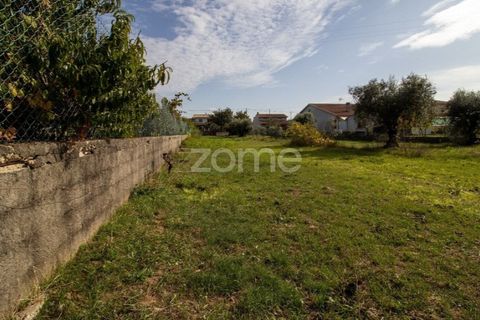 Helårsgrund i Cantanhede, Coimbra, Cantanhede - € 32.500 | Ref: ZMPT581834 - foto 25