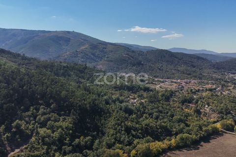 Tomt i Folques, Coimbra, Folques - € 49 900 | Ref: ZMPT581750 - foto 2