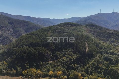 Tomt i Folques, Coimbra, Folques - € 49 900 | Ref: ZMPT581750 - foto 3