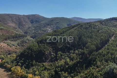 Tomt i Folques, Coimbra, Folques - € 49 900 | Ref: ZMPT581750 - foto 4