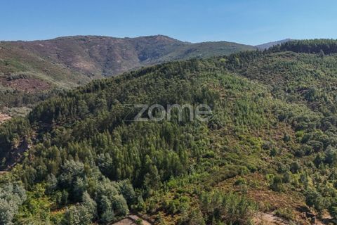 Tomt i Folques, Coimbra, Folques - € 49 900 | Ref: ZMPT581750 - foto 5