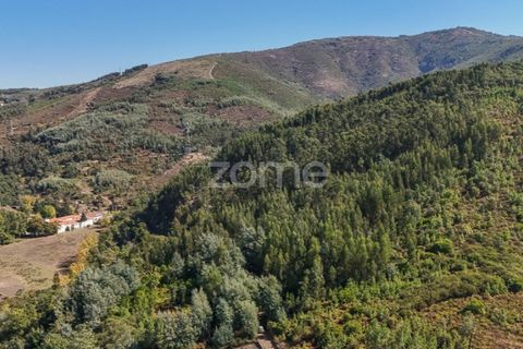 Tomt i Folques, Coimbra, Folques - € 49 900 | Ref: ZMPT581750 - foto 6