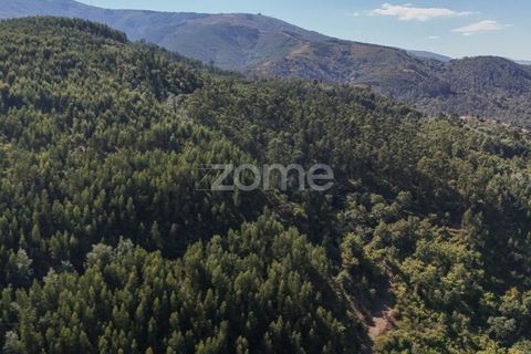 Terra a Folques, Coimbra, Folques - € 39.900 | Ref: ZMPT581750 - foto 2