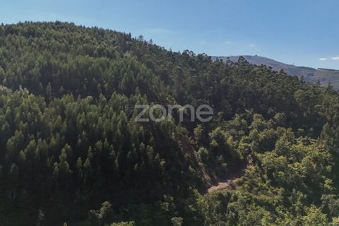 Terra a Folques, Coimbra, Folques - € 39.900 | Ref: ZMPT581750 - foto 4