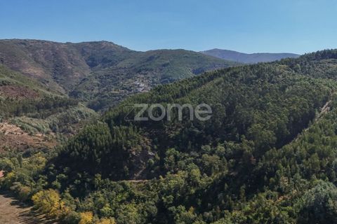 Terra a Folques, Coimbra, Folques - € 39.900 | Ref: ZMPT581750 - foto 5